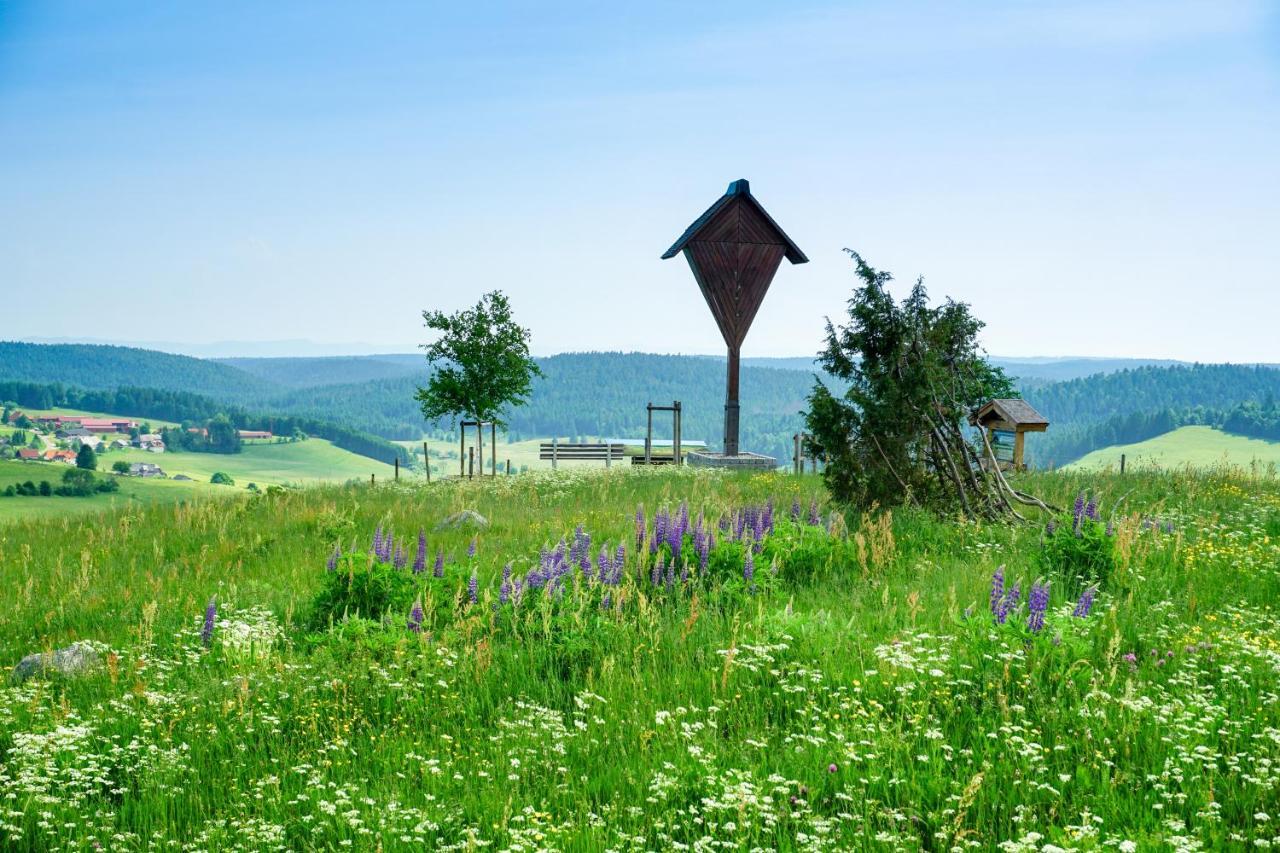 Hubertus Lodge Ibach Экстерьер фото